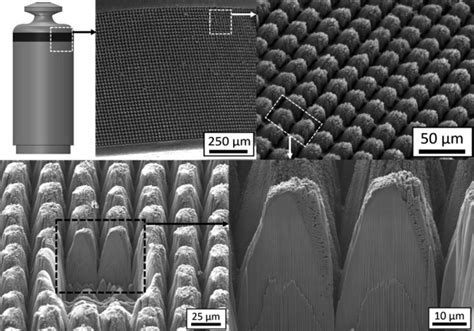  Rhodium-Plated Titanium: 解放する生体適合性と耐久性の融合！