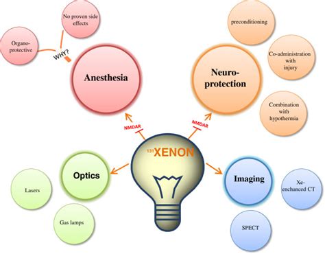 Xenon: Exploring its Applications in High-Intensity Lighting and Medical Imaging!